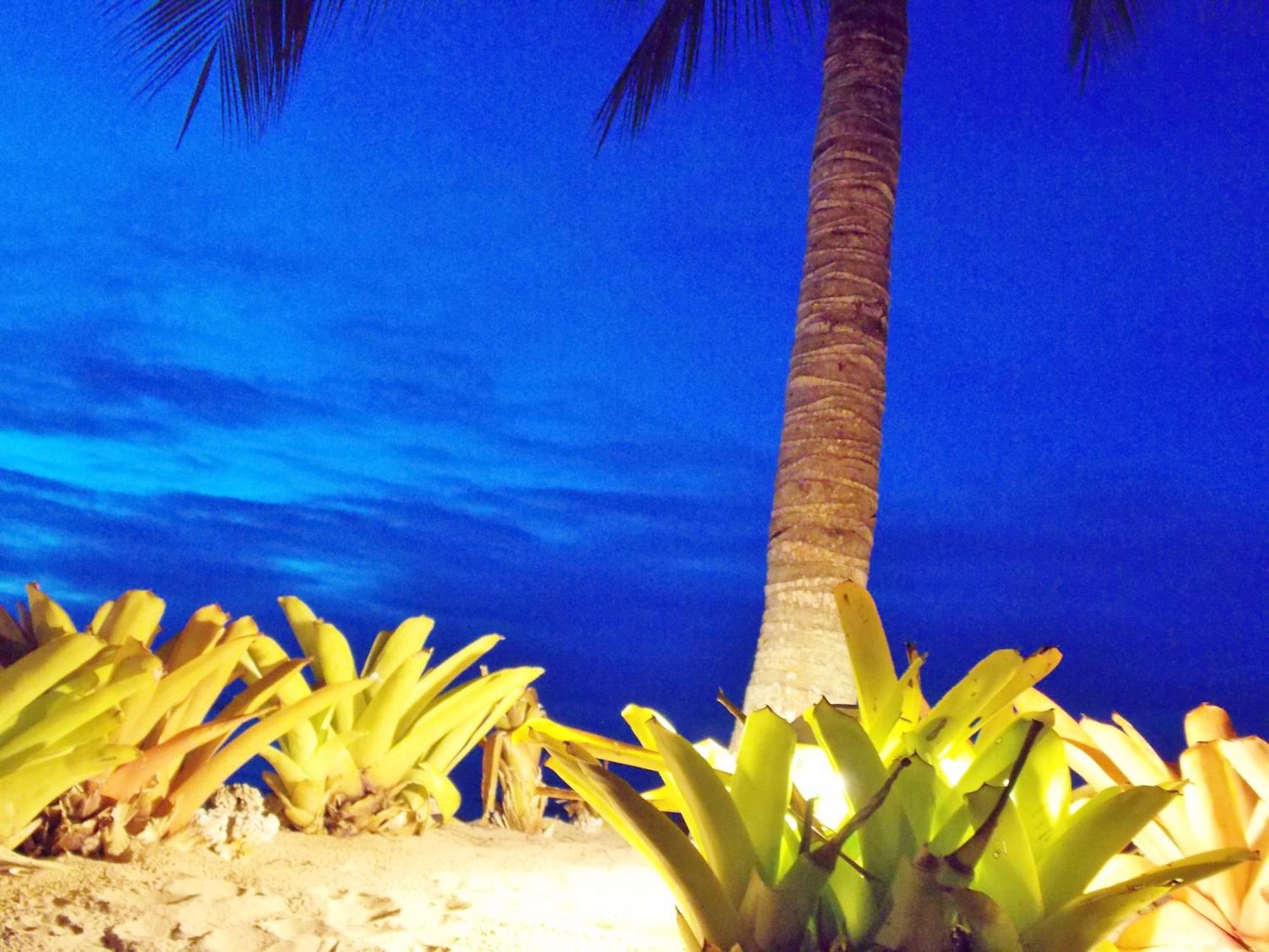 Pousada Ponta Do Muta Barra Grande  Dış mekan fotoğraf